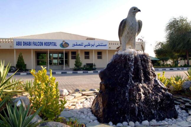 بیمارستان فالکون ابوظبی (ABU DHABI FALCON HOSPITAL)
