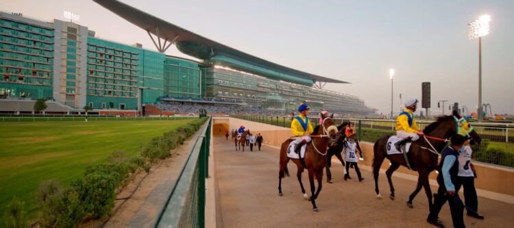 تورهای اصطبل المیدان به پشت صحنه مسابقات اسب دوانی در جام جهانی دبی بروید.
